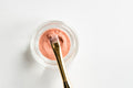 Precision Waterproof Liquid Eyeliner 24hr Wear
